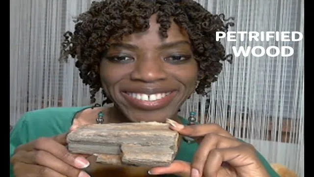 PETRIFIED WOOD: Recall Your Ancient Past Wisdom For Manifesting RIGHT NOW